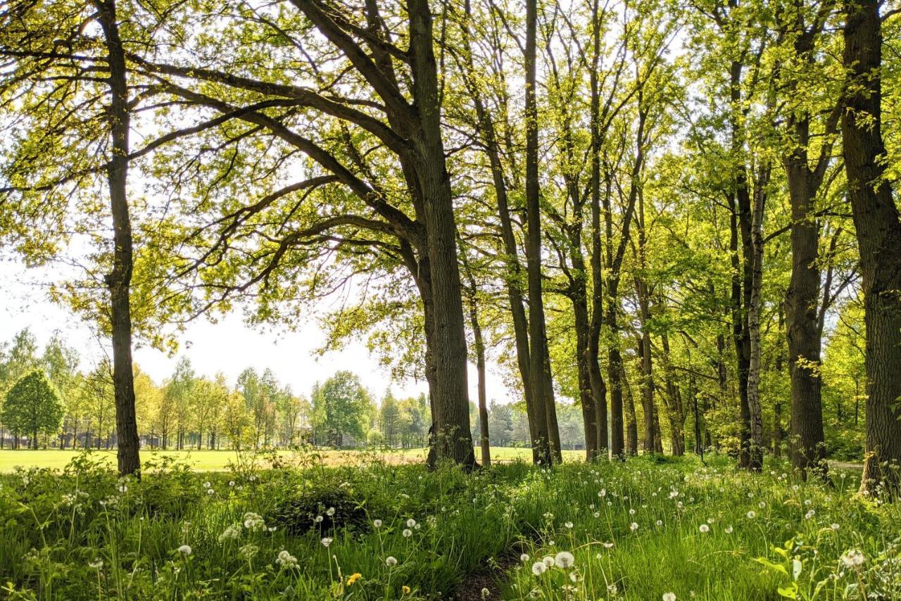 Camping De Vinkenkamp Lieren Dış mekan fotoğraf